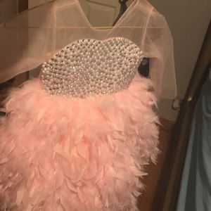Pink pearl swan dress